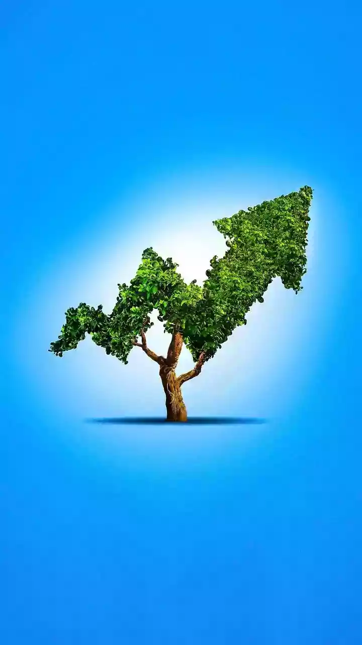 Stock Market Surge: Unpacking the Rally's Dynamics