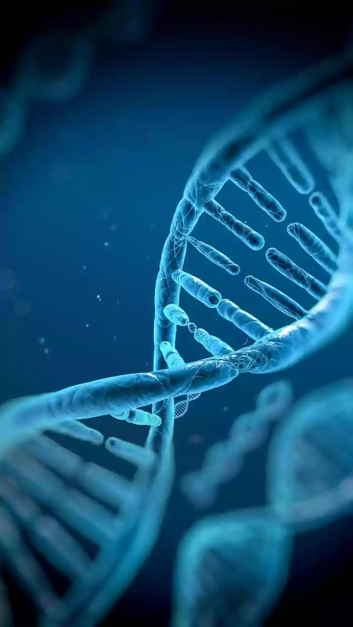 Can a single shot soon prevent heart attacks? The Eli Lilly breakthrough, explained