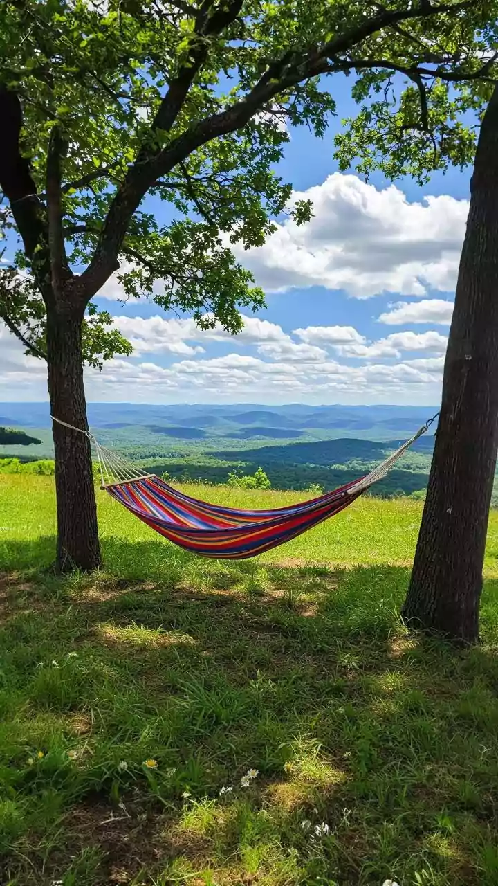 Discover Abingdon, Virginia: An Affordable Blue Ridge Gem with a Rich Arts Scene