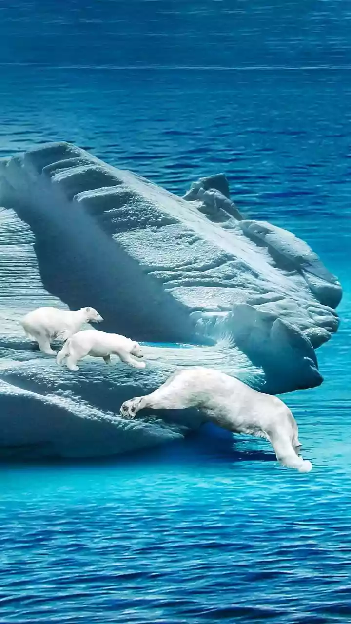 'Greenland Not For Sale': Show Of Unity As Thousands March Against Trump's Takeover Push