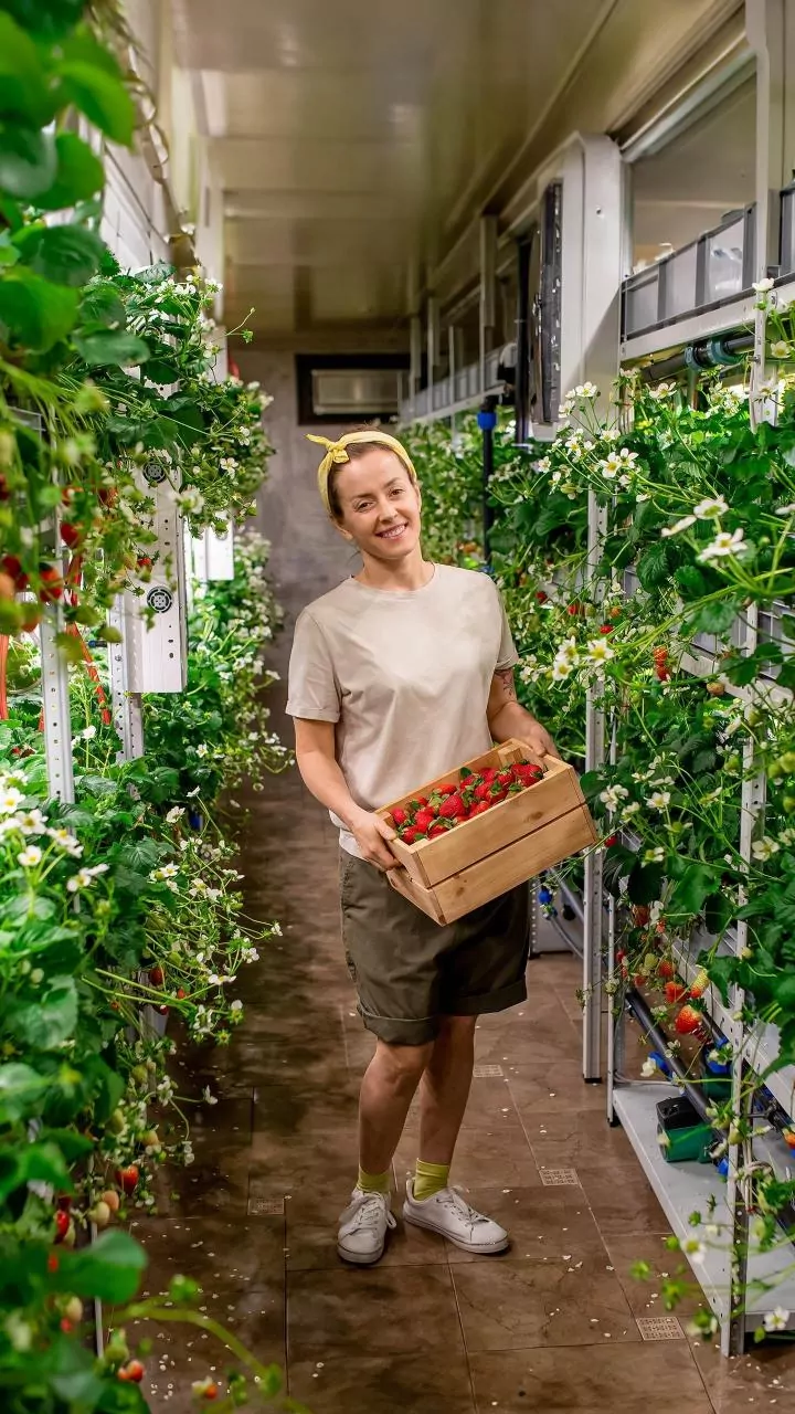 Grow Fresh Produce Without A Large Garden