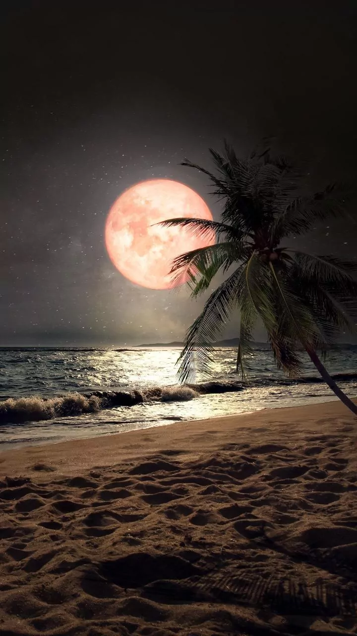 Harvest Moon 2026: What The Full Moon Will Look Like In September