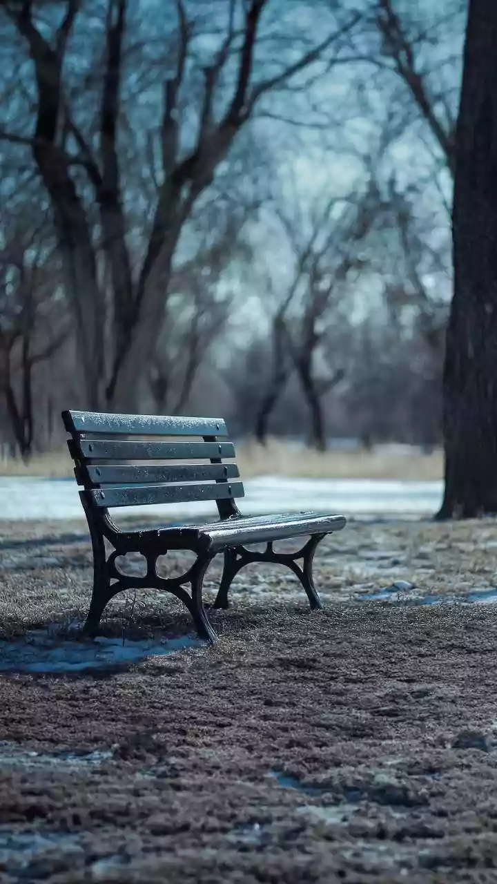 Dusk cool-down ahead — tap to plan your evening time.