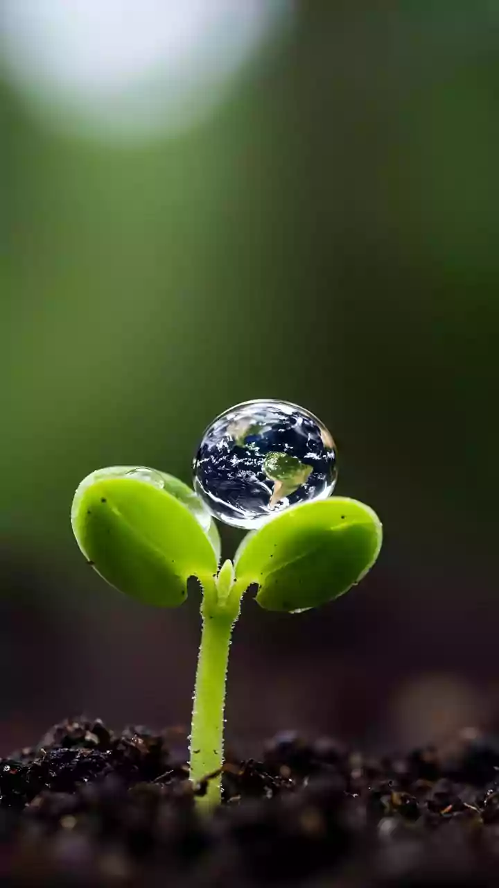 Earth Day 2026: Short speeches, beautiful poems and inspiring quotes