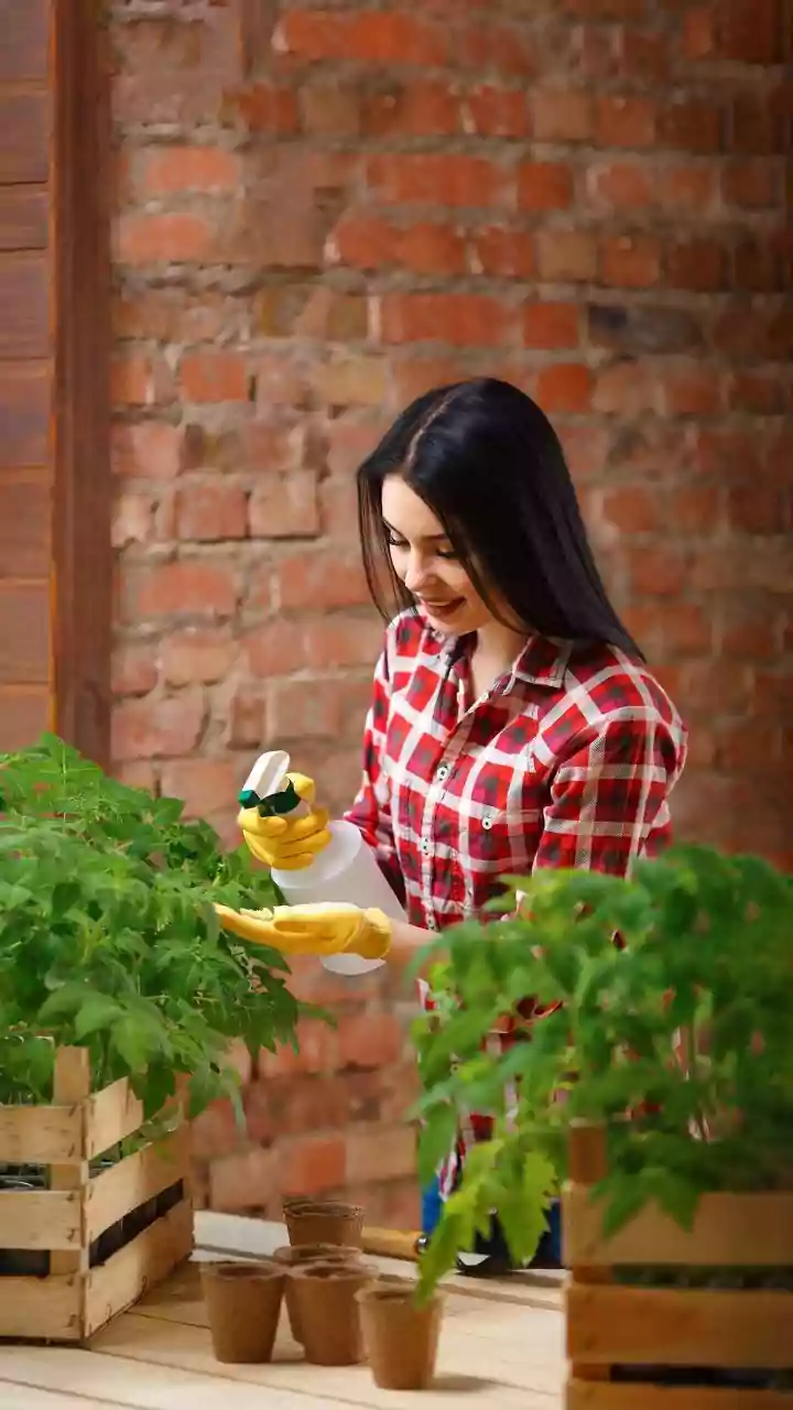 Growing Plants From Cuttings At Home: A Closer Look