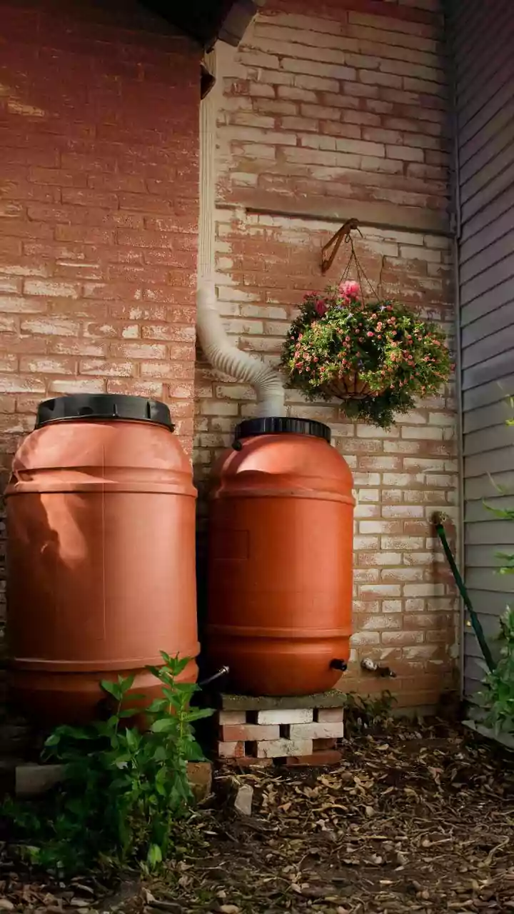 How Delhi Apartments Save 90% Water Using Hydroponic Loops