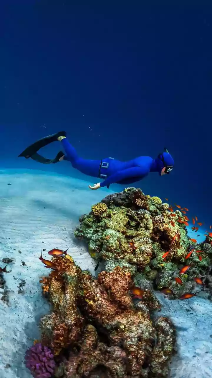 What Scientists Still Do Not Know About The Deep Ocean