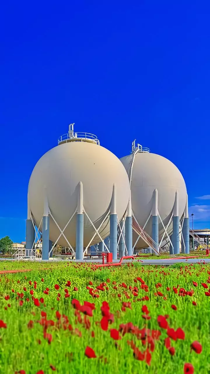 GAIL signs MoU with Chhattisgarh for gas-based fertiliser project