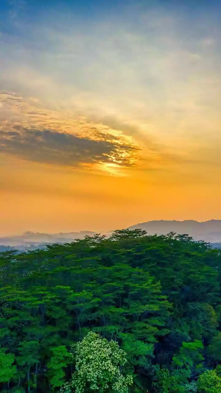 Exploring nature trails near Bengaluru: Why Nandi Hills offers easy weekend walks with rewarding sunrise vistas