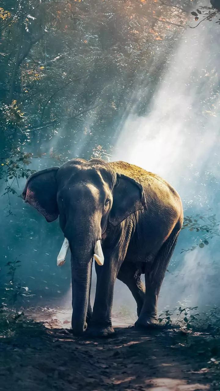 Related Stories banner