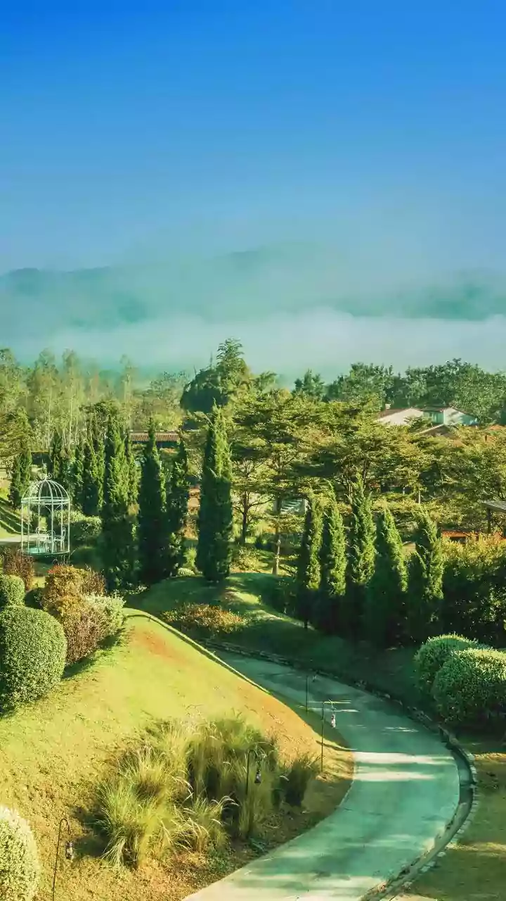 Weekend Getaways Near Bengaluru Offer Misty Views And Cooler Temperatures