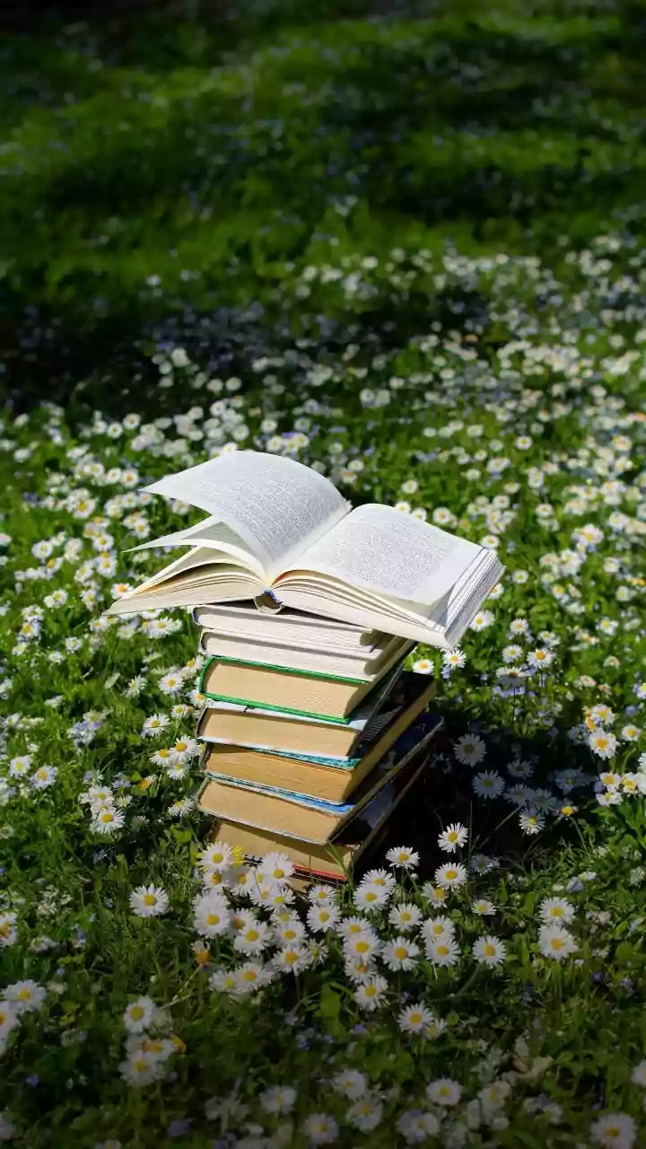 Top MBA Destinations in 2026: A Global Guide