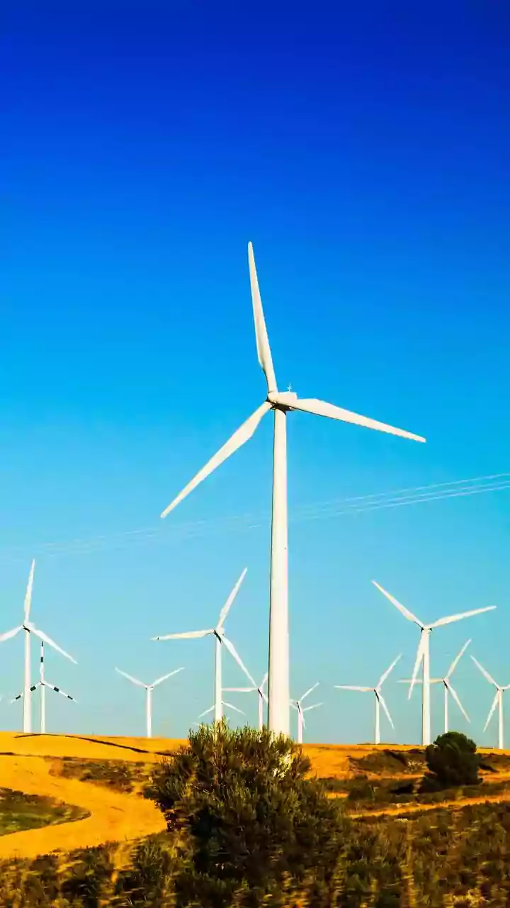Sovereign Green Bonds Breakdown: How Young Investors Fund Renewable Projects With Fixed Returns