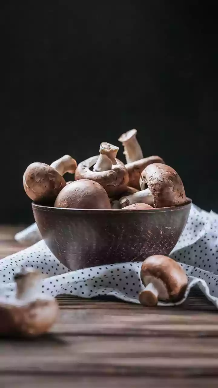 How Micro-Factories Harvest Fresh Mushrooms From Recycled Coffee Grounds