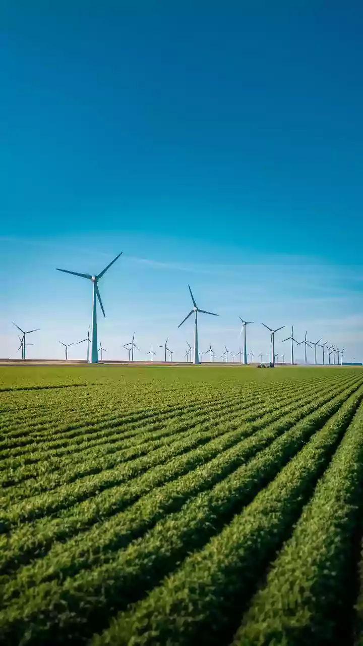 Bengal farmers read morning dew to guide daily farm timing