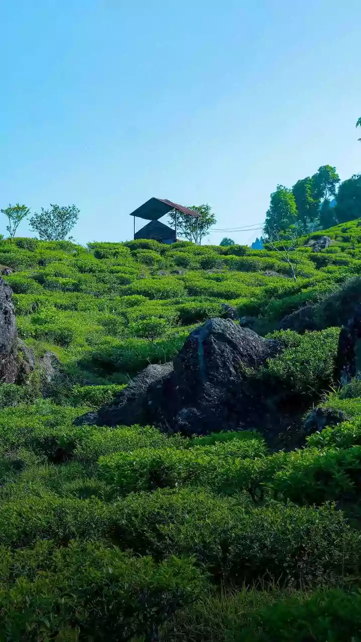 Why Young Urban Professionals Are Investing In Sleep Tourism In Tranquil Hill Stations