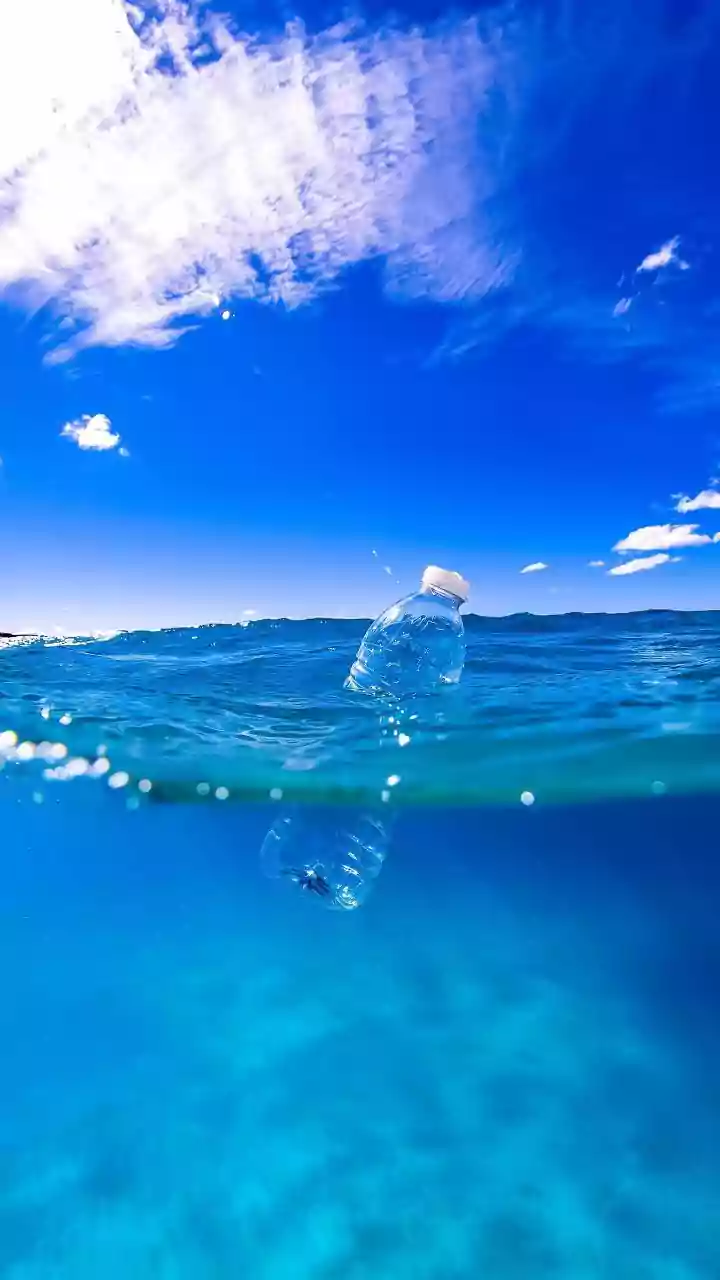 Scientists Examine How Plastic Particles Move From Environment To Food