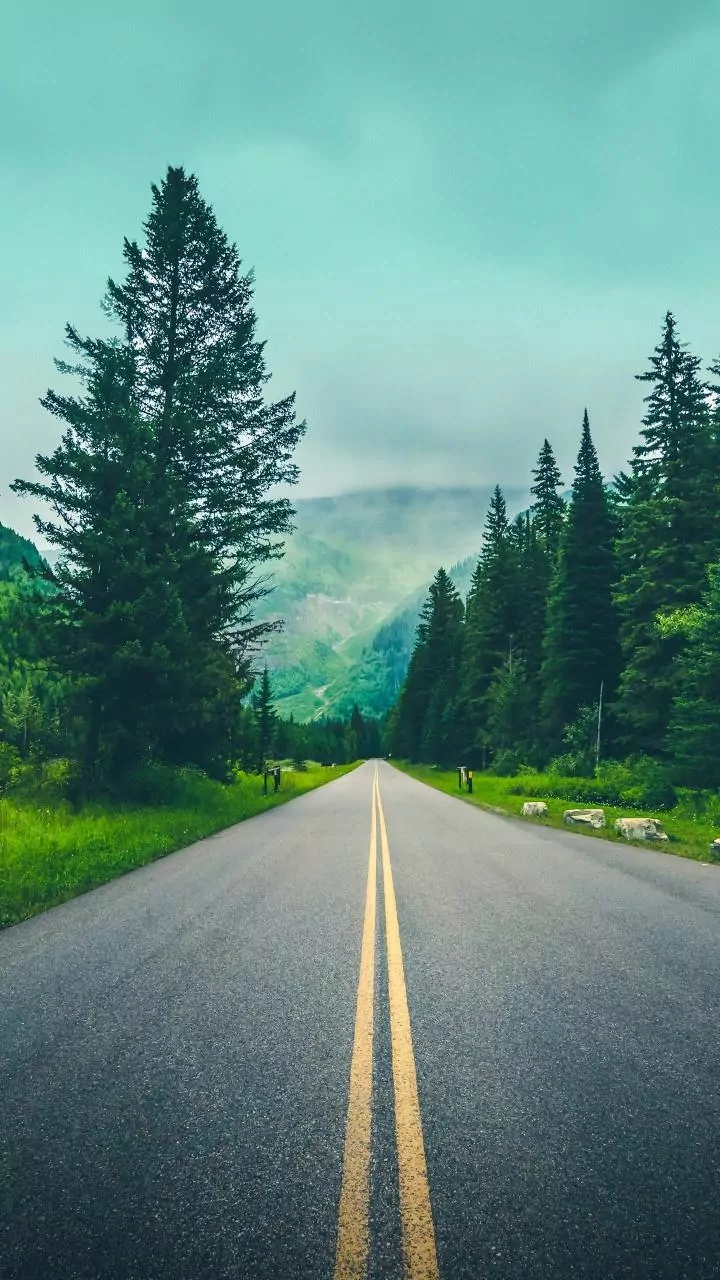 Rainy-Season Driving: What To Check Before Taking A Road Trip Through The Hills