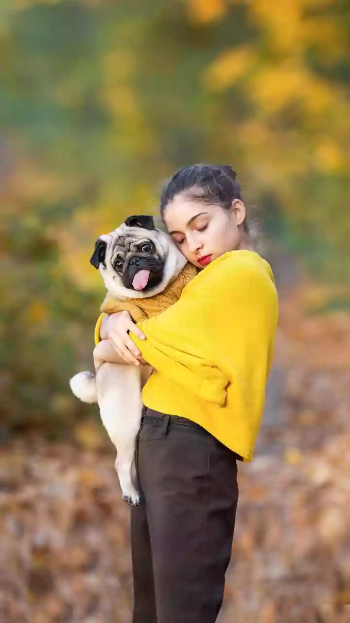 Pet Owners Need Transport, Appointment and Emergency Vet Plans Before Trouble Starts