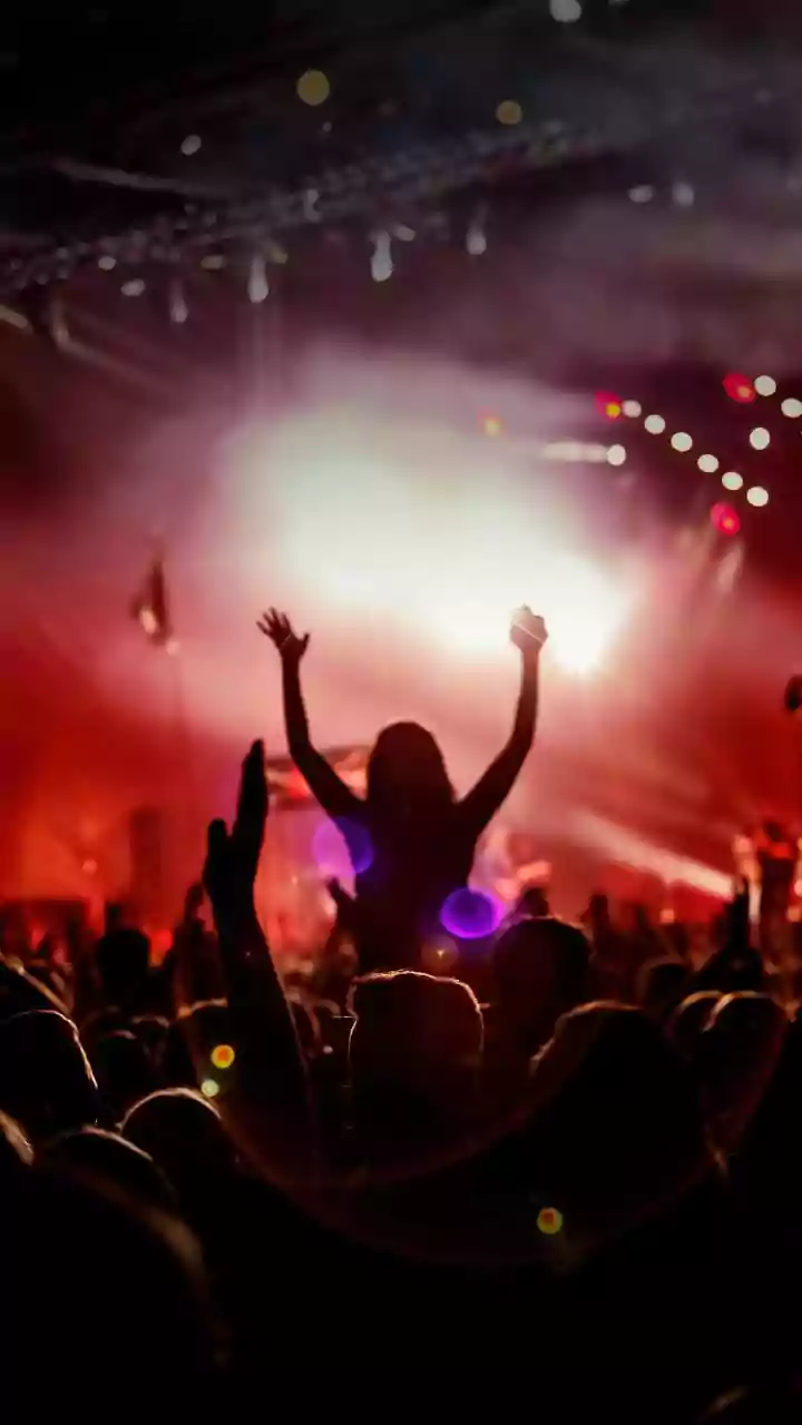 Individualism & Fandom's Fashion Influence