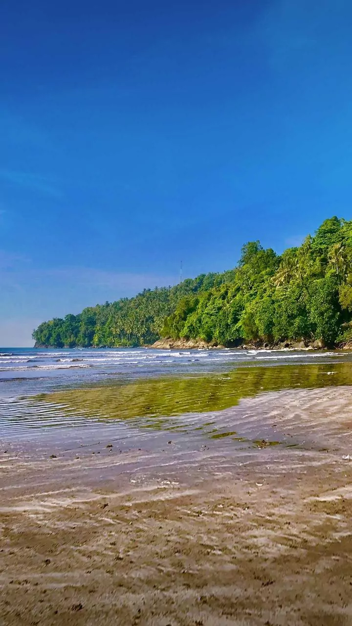 The New South Andaman Birding Trail Puts Guide Quality, Rain Readiness and Low-Impact Etiquette on One Checklist