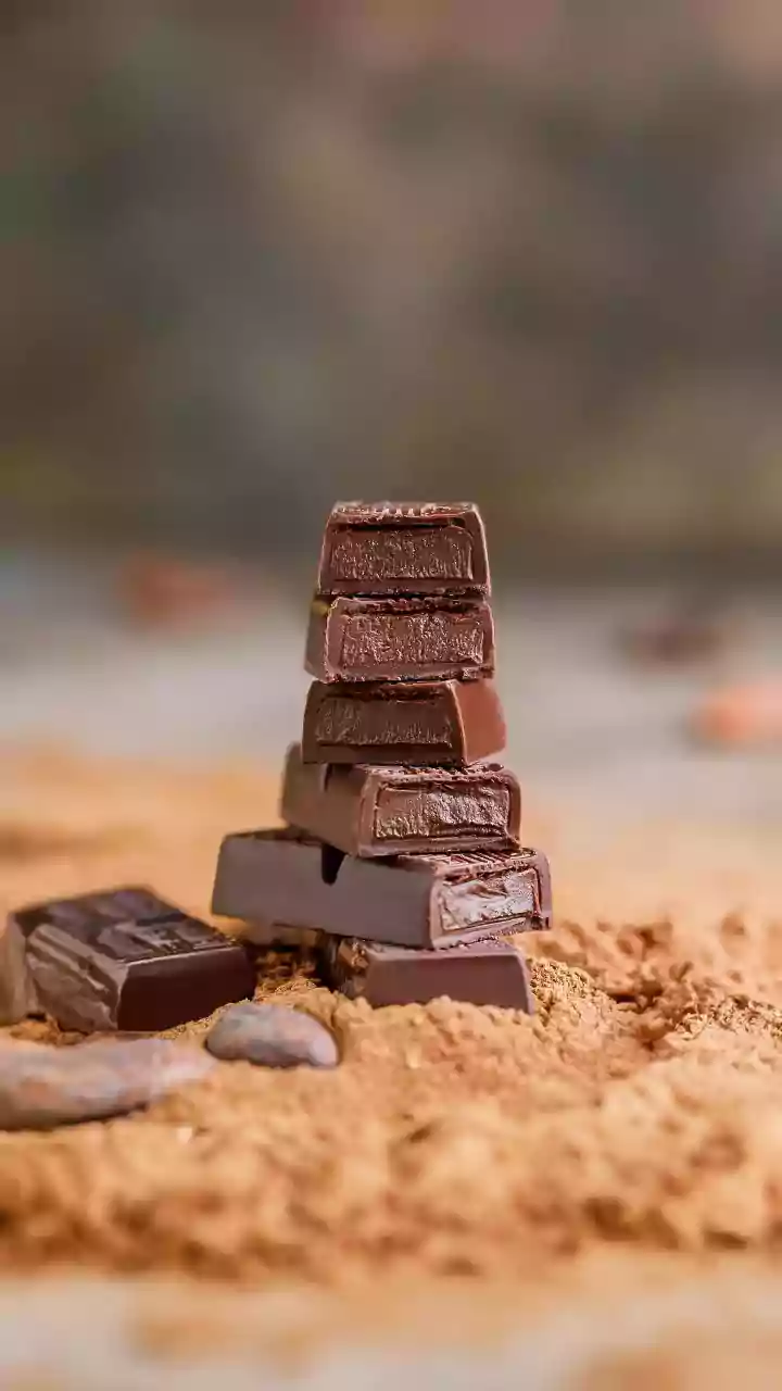 How South India’s Cacao Farms Are Fueling A Premium Bean-To-Bar Chocolate Revolution