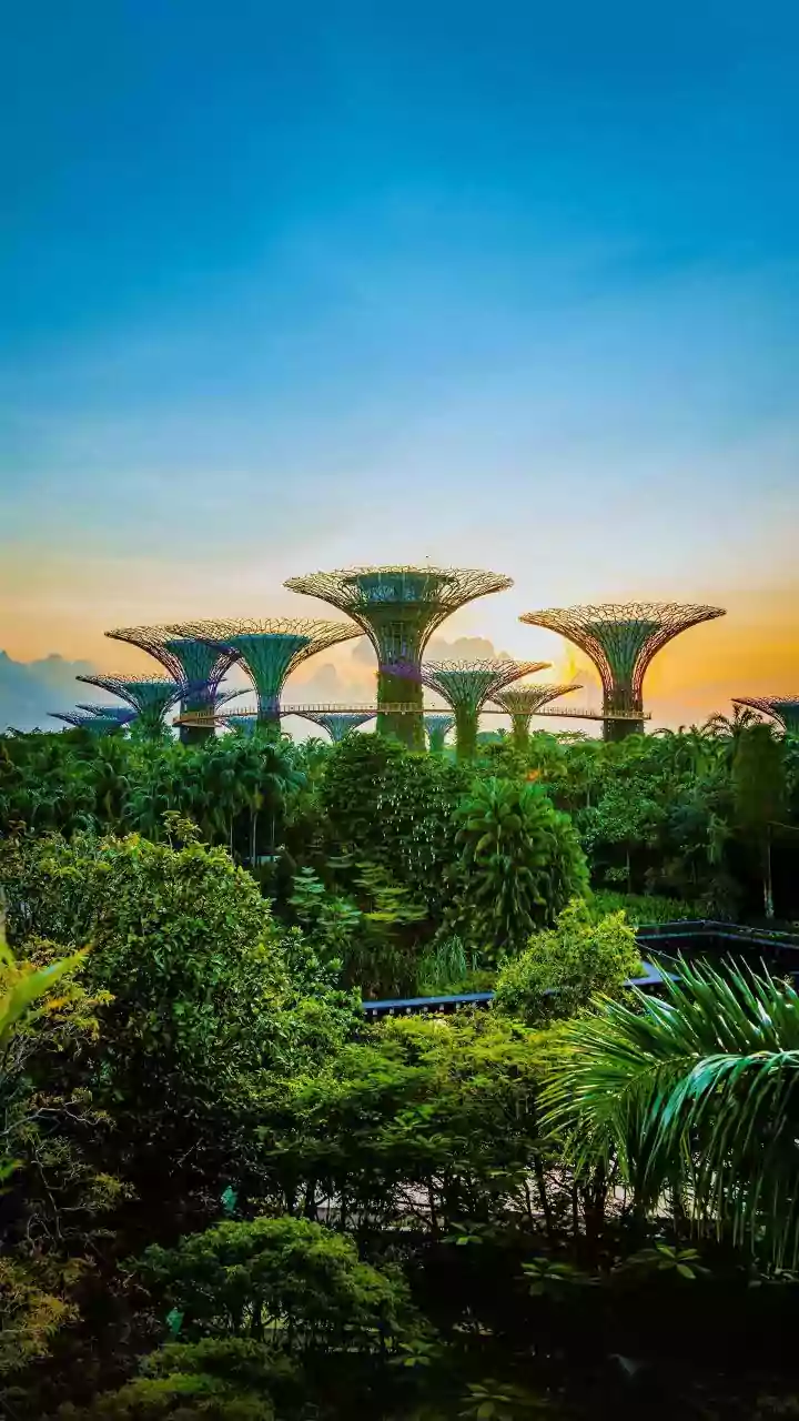 Beyond the First Visit: How to Discover a Different Side of Singapore