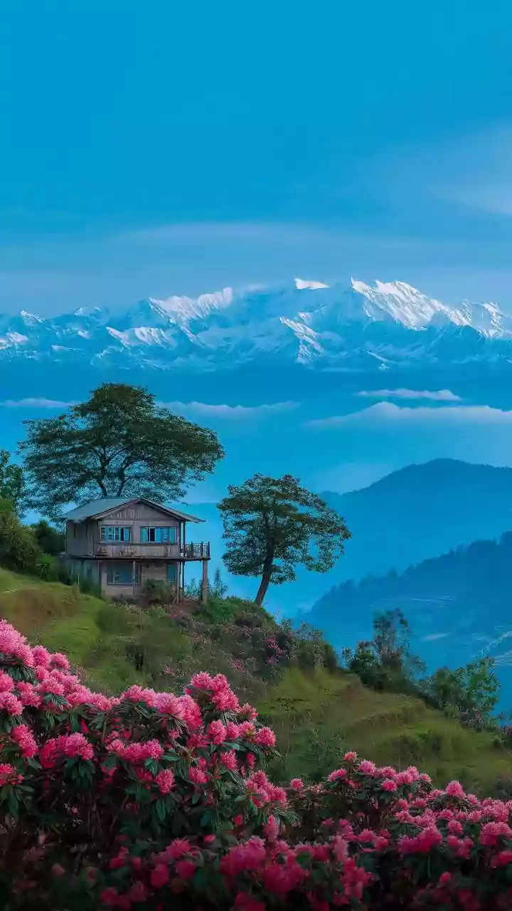 North East India: Seasonal weather insights for travellers