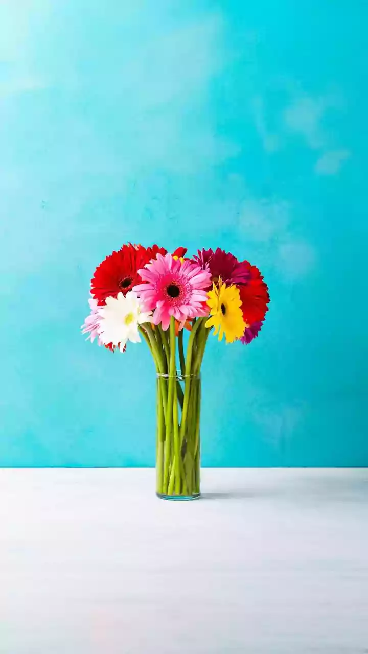 Longevity Depends on Flower Choice, Temperature and Handling