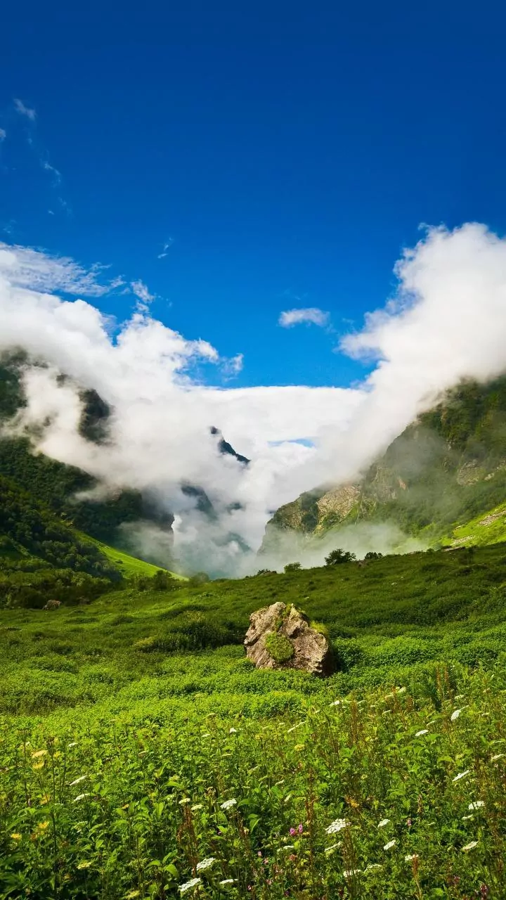 The Deo Tibba Trek Trades Manali Crowds for Meadows and Moraine