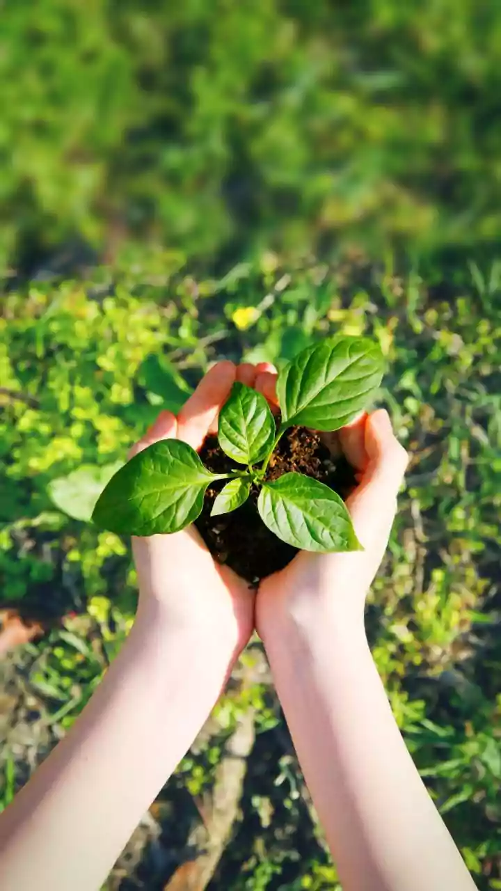 Beginning Now Gives Even Small Investments More Time to Grow