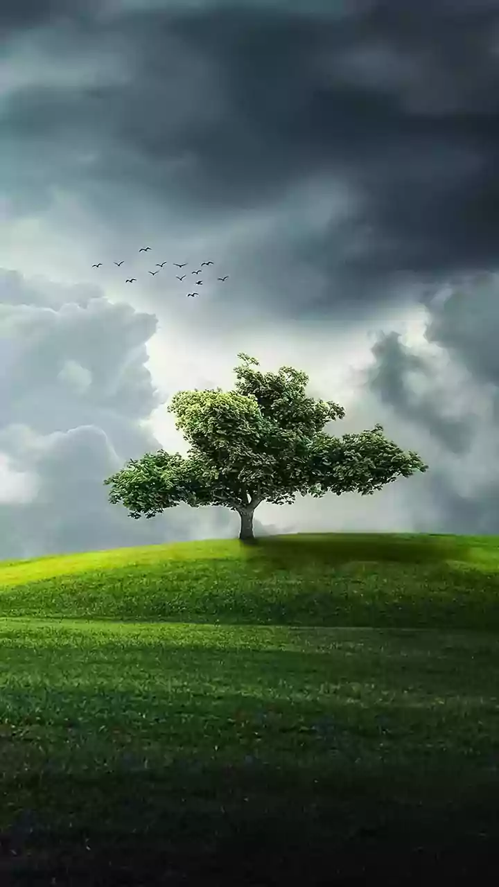 The Pacific Climate Cycle That Can Influence India's Rainfall
