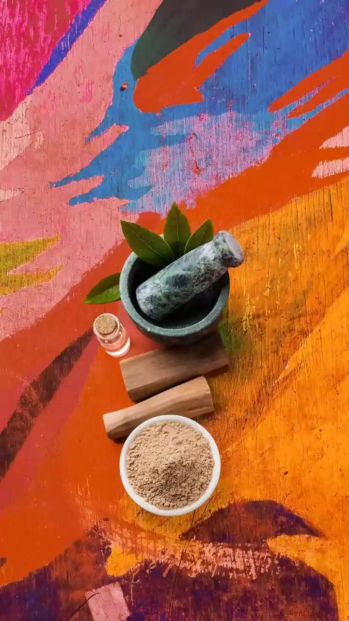 Artisanal Mouth Fresheners Reimagined By Young Entrepreneurs With Natural Seed Mixes And Plant Extracts