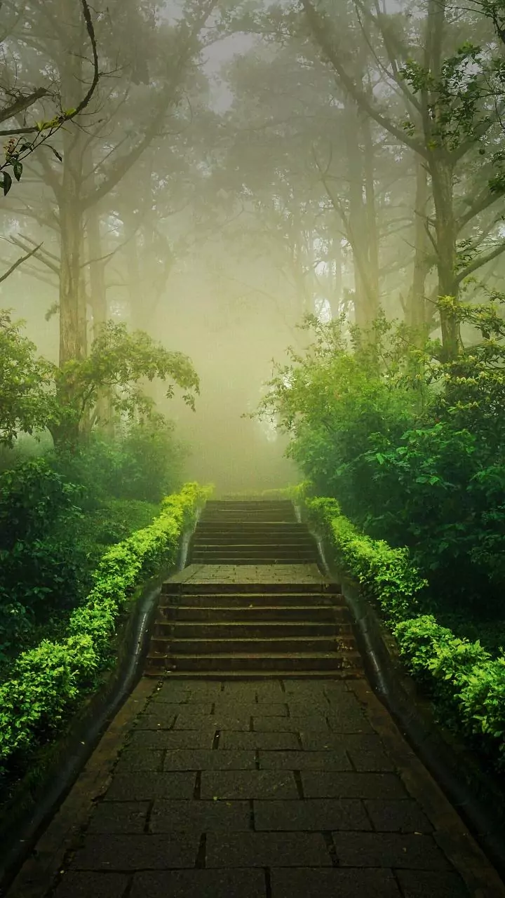 Patchy fog possible — tap to pick the safest start time.