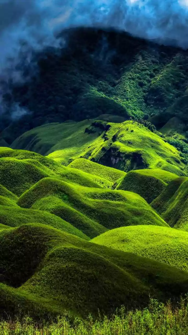 Green Hills And Rain Are Selling Holidays Now