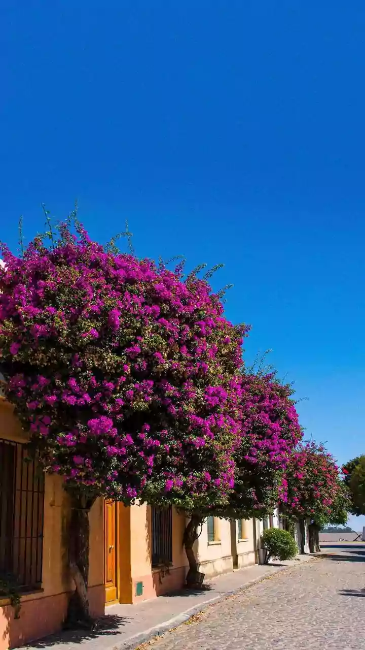 Midday heat rising — tap to plan ahead.