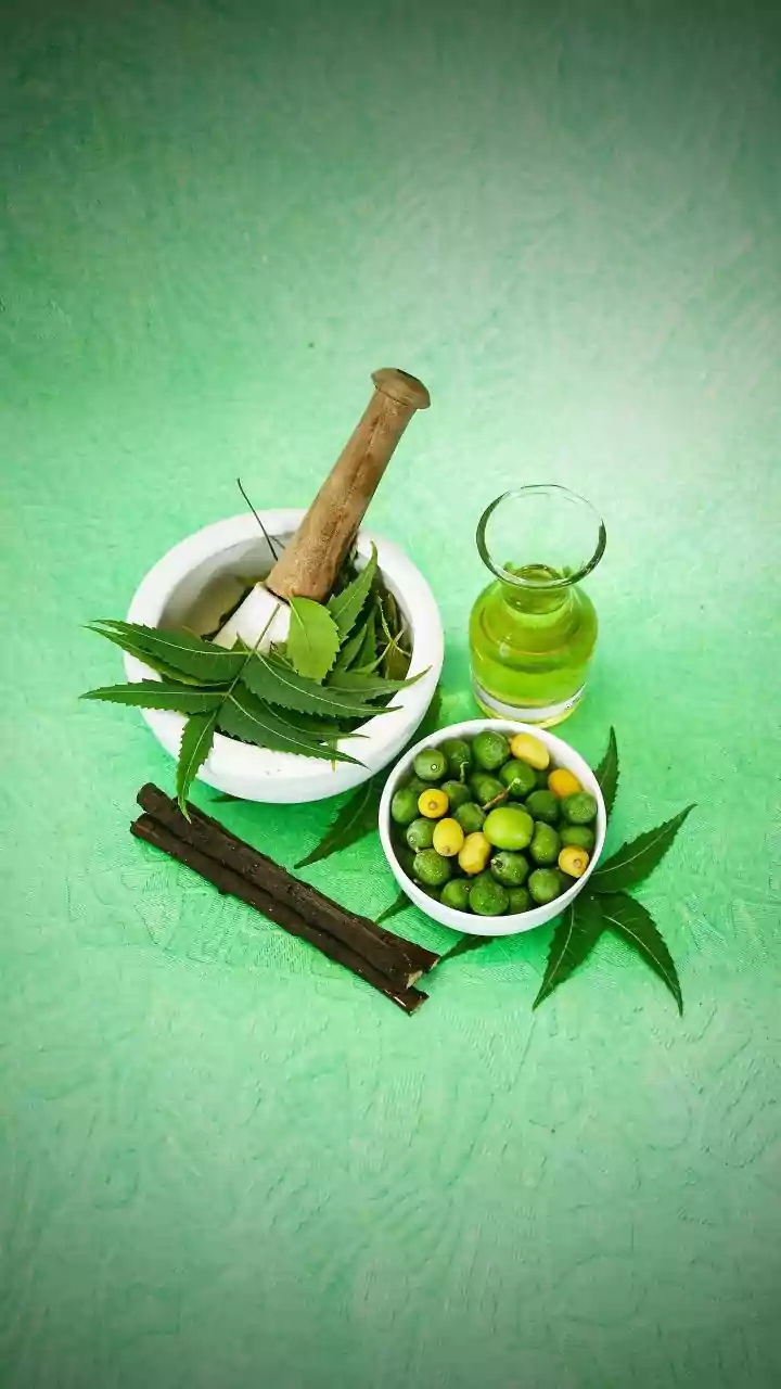 IMA Opposes Andhra Pradesh Move Allowing Ayurvedic Doctors To Perform Select Surgeries