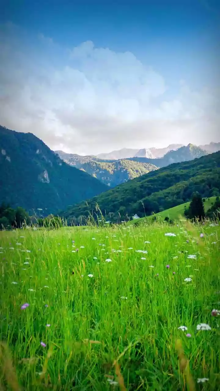 Budget-Conscious Travellers Are Choosing Hill Destinations For August Mini Vacations