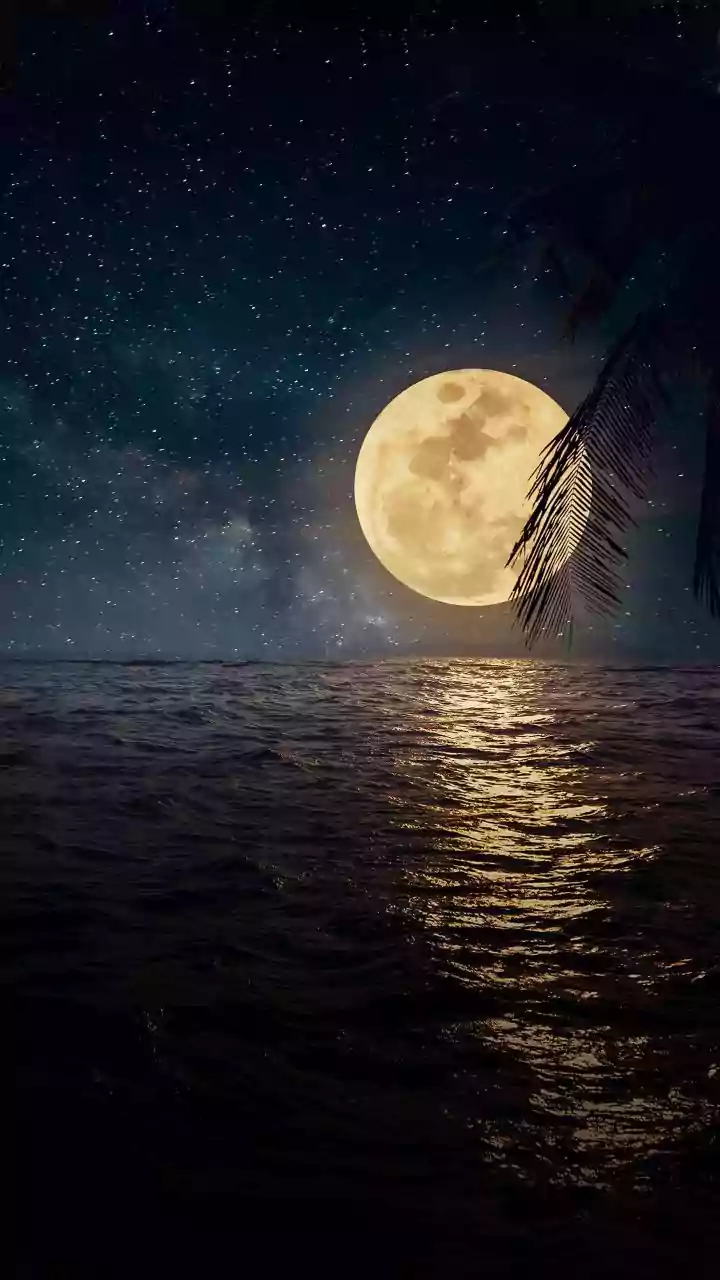 Baby Names Inspired by Nature's Beauty