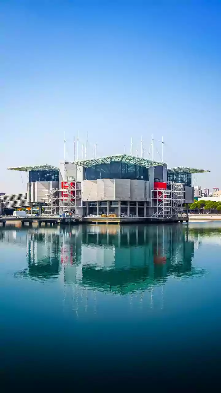 Oceanário de Lisboa: último meses para visitar a exposição Florestas Submersas