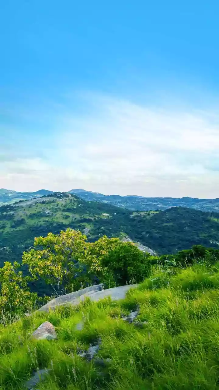 Aravalli In Spotlight: Why The Govt Says Fears Around The SC Definition Are Misplaced