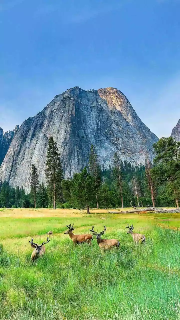 Top 10 Countries with Amazing National Parks