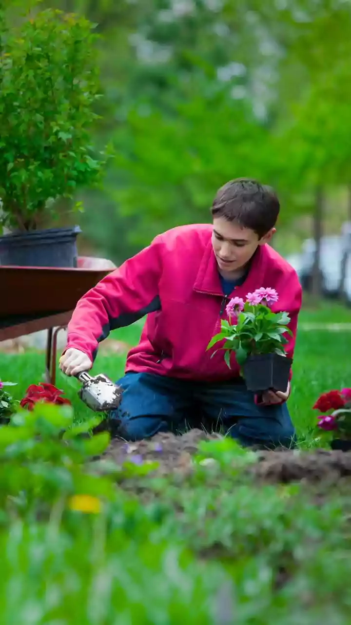 Post-Monsoon Gardening Starts With Checking, Pruning and Refreshing Your Plants