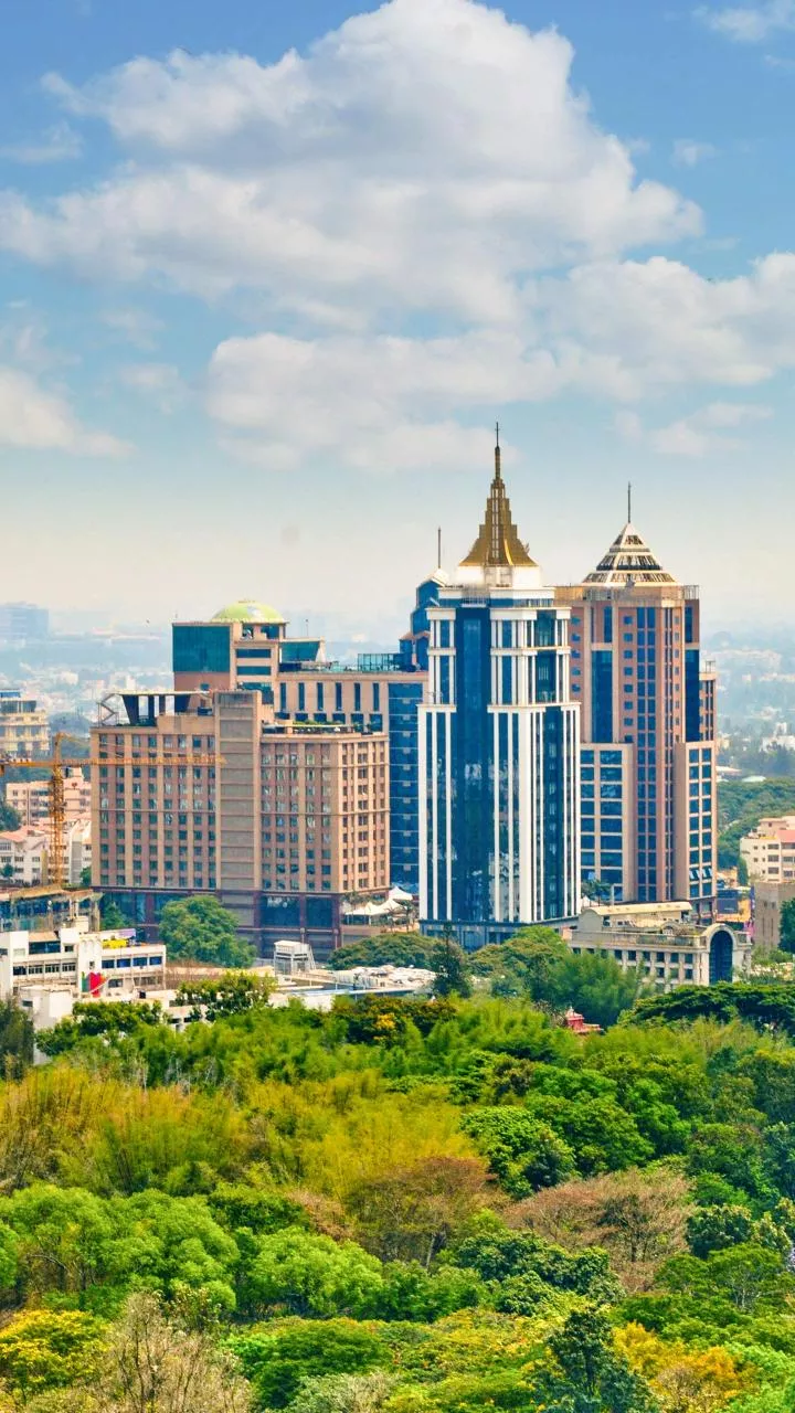 Monsoon mayhem: Over 1,200 trees fell in Bengaluru this year