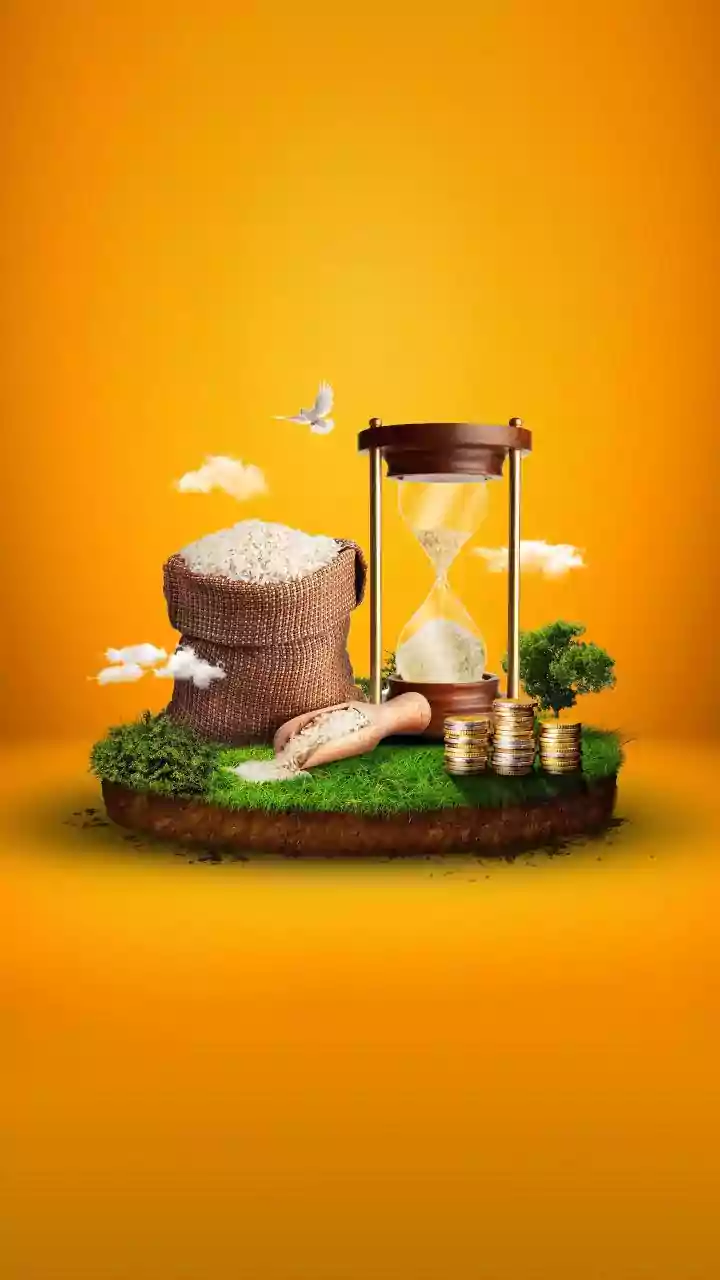 Tier 2 Investment Trends: Evaluating Nifty 50 Index Funds vs Flexi-Cap Portfolios Today