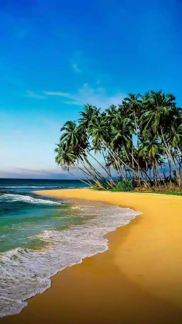 Take me to the Beach, please! Top Winter Beach Destinations in India