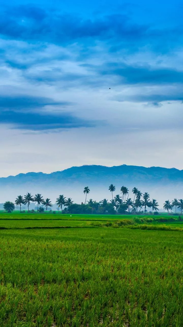 Could Monsoon Weakness Raise Prices Of Farm Produce?