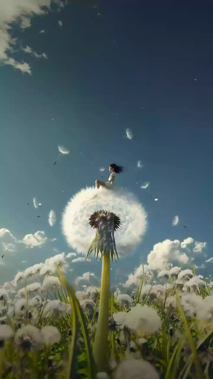 I have a stuffy nose. How do I know if it’s hay fever or a cold?