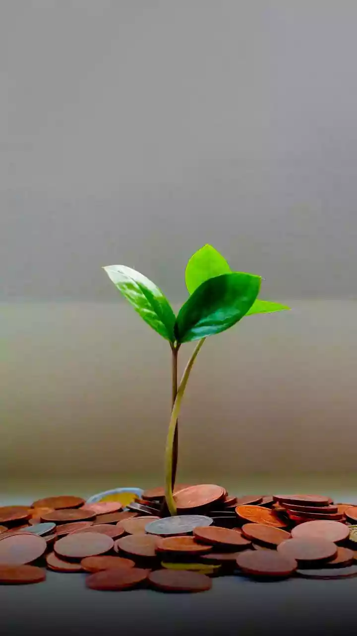 LTIMindtree's Q3 profit takes a hit, but revenue shines