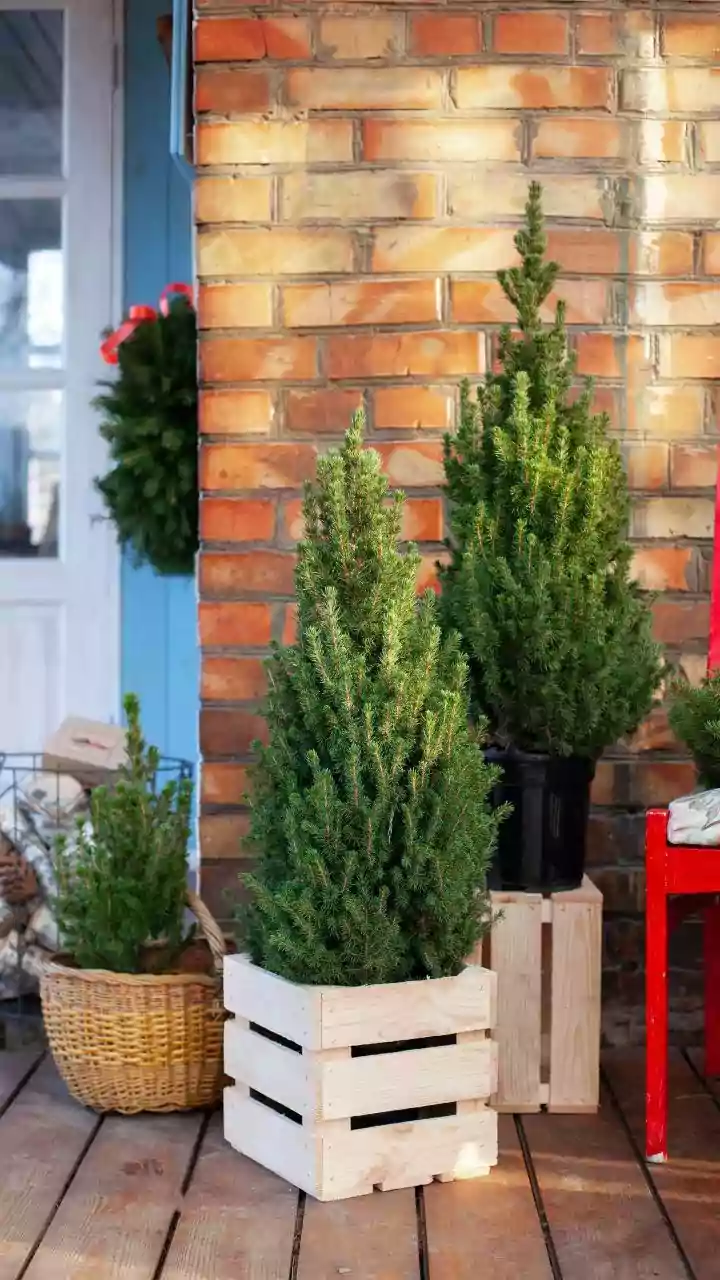 How Multi-Functional Decor Pieces Help Keep Small Flats Uncluttered During Festive Celebrations